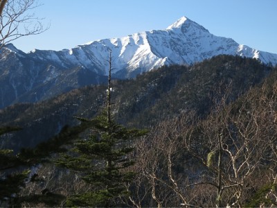 senjo1319.jpg (169.33 KiB) 閲覧された回数 3395 回 木々の間から朝日を浴びる北岳