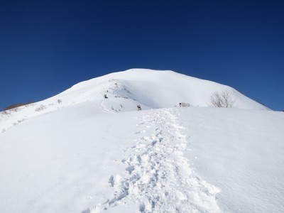 小仙丈へのトレース