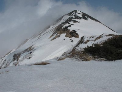 影火打から望む火打山