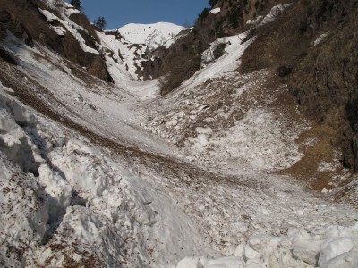 雪崩だらけの開津谷、奥はもちろん奈良漬けどす