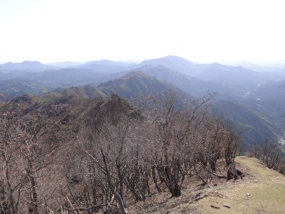 DSC09275 のコピー.JPG (164.56 KiB) 閲覧された回数 3455 回 高見山から東の尾根へ