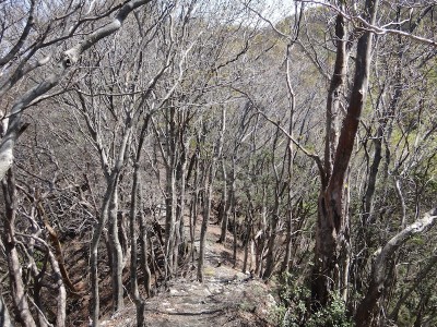 DSC09468 のコピー.JPG (339.49 KiB) 閲覧された回数 3453 回 北斜面と南斜面の対比