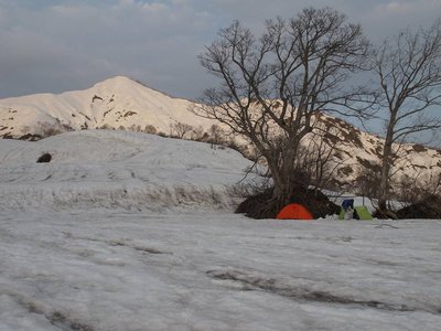 マミジロコ～ルを聴きながら・・・♪