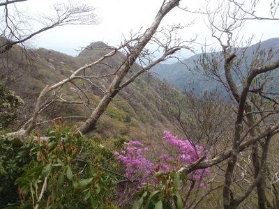 県境尾根から見る孫太尾根