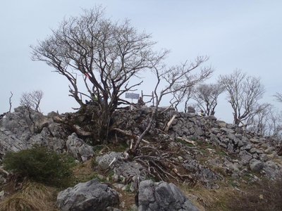 藤原展望丘（麓より人が多い）