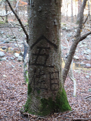 IMG_3181.jpg (176.2 KiB) 閲覧された回数 11451 回 佐目の共有林