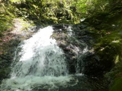 P1030085.jpg (98.32 KiB) 閲覧された回数 5180 回 3連瀑の2番目の滝(直登)