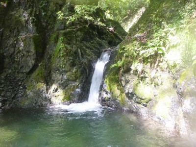 P1030090.jpg (103.53 KiB) 閲覧された回数 5184 回 廊下の入り口の滝(右岸巻き)