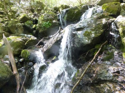 P1030105.jpg (123.57 KiB) 閲覧された回数 5189 回 連瀑帯の滝(シャワーで登る)