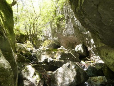 P1030113.jpg (112.61 KiB) 閲覧された回数 5184 回 石灰岩の壁