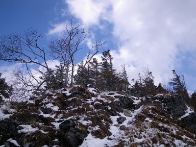 IMGP7025.jpg (213.23 KiB) 閲覧された回数 6387 回 展望地の2400m峰