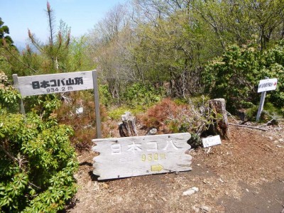 日本コバ頂上