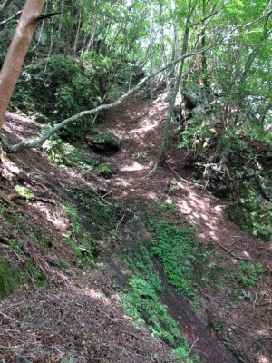 IMG_4094.jpg (844.97 KiB) 閲覧された回数 5230 回 山日和コース