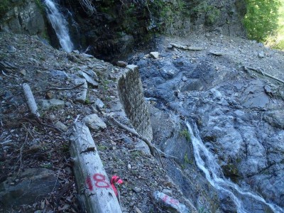 ペンキで番号が書かれている。