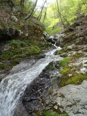 喜平小屋谷右俣