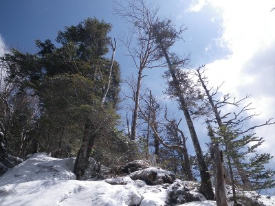 丸山谷の頭を目指して