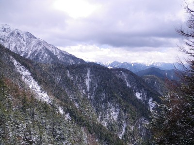 丸山谷の頭から丸山への尾根