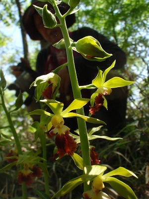 後ろの正面だ～れ