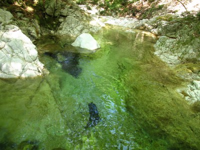 IMG_7124.jpg (700.36 KiB) 閲覧された回数 5724 回 エメラルドグリーン