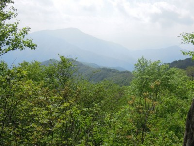 横山岳JPG.JPG (200.47 KiB) 閲覧された回数 5421 回 歩いてきた稜線と横山岳が見られる