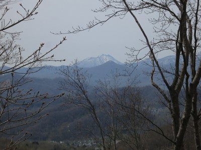 IMG_1621.jpg (140.16 KiB) 閲覧された回数 3782 回 樹々の間から恵庭岳の岩峰を望む