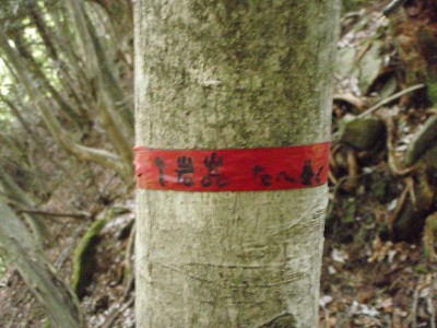 ５年前。字が消える前の赤テープ。