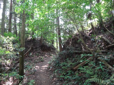 基山 東北門跡.JPG (6.42 MiB) 閲覧された回数 3537 回 東北門跡