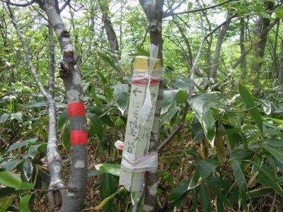 展望台を示す標識