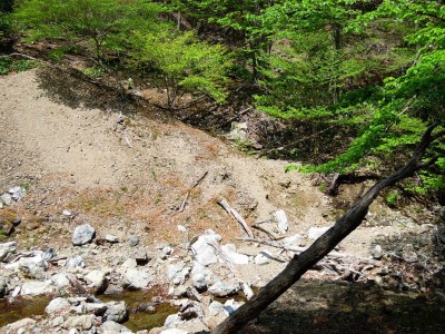 ワサビ谷の飯場跡。