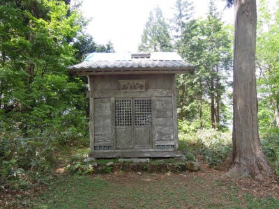 この中に入れるのかな