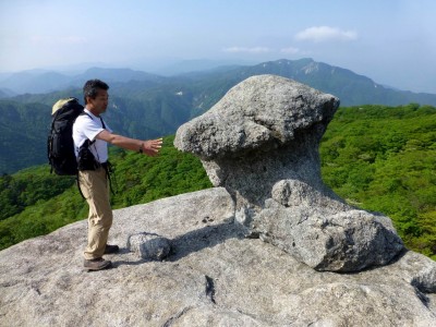 P1020121.JPG (288.22 KiB) 閲覧された回数 9354 回 笠の一部が欠けて落下したきのこ岩