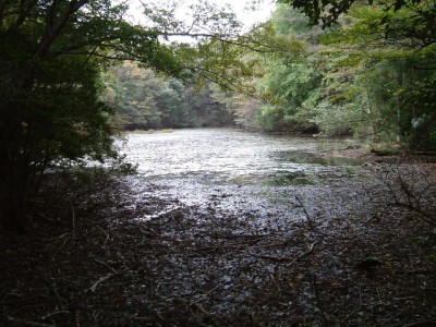 DSCF0008.JPG (214.88 KiB) 閲覧された回数 4813 回 ノタノホリ