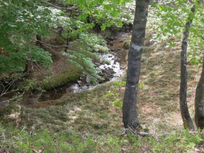 熊の戸平.JPG (160.22 KiB) 閲覧された回数 6237 回 水の流れる熊の戸平ら