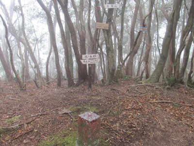 どれが本当なの？