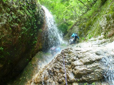 上からシャワーが注ぐ