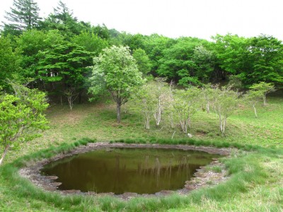 赤ゾレ池とアズキナシ