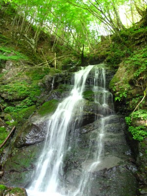 IMG_7214.jpg (681.92 KiB) 閲覧された回数 2948 回 二段15m滝