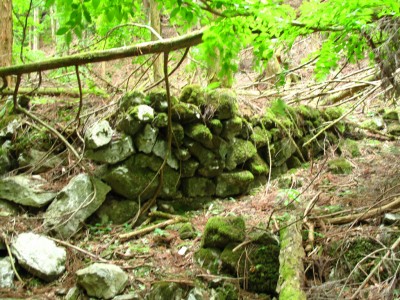 IMG_7254.jpg (721.97 KiB) 閲覧された回数 2941 回 二股の石積