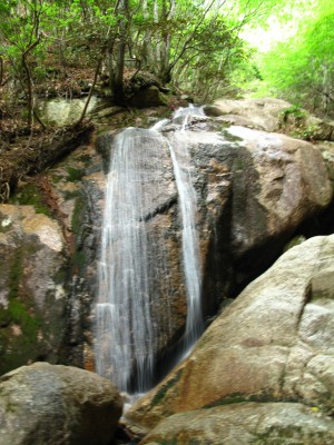大ナメの始まり