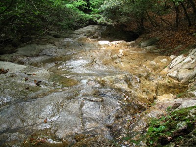 ヤケギの大ナメ