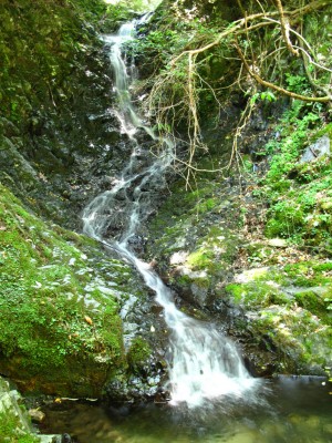 法丁の滝（右俣）