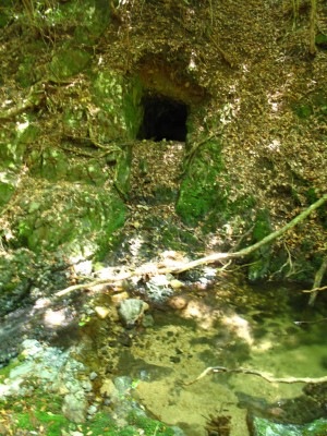 右岸の洞穴（右俣）
