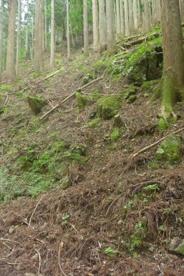 着地点。この辺にあったような気も・・・