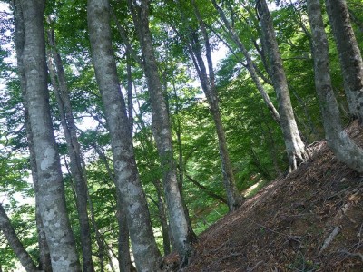 P1010059.jpg (202.67 KiB) 閲覧された回数 3703 回 頂上直下