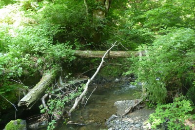 これも橋でした