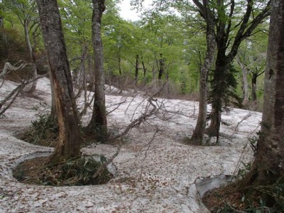 こんなトコばっかりでは無かったのですが