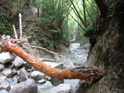 東海自然歩道と山秋谷