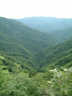 南谷を見下ろす