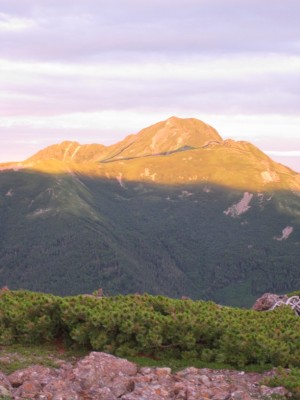 塩見岳.jpg (125.74 KiB) 閲覧された回数 6455 回 盛夏の塩見岳、夜明け