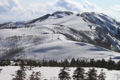 願教寺山.jpg (580.62 KiB) 閲覧された回数 6884 回 午後の願教寺山